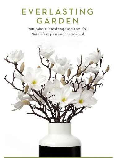 Botanical Accents for Any Room